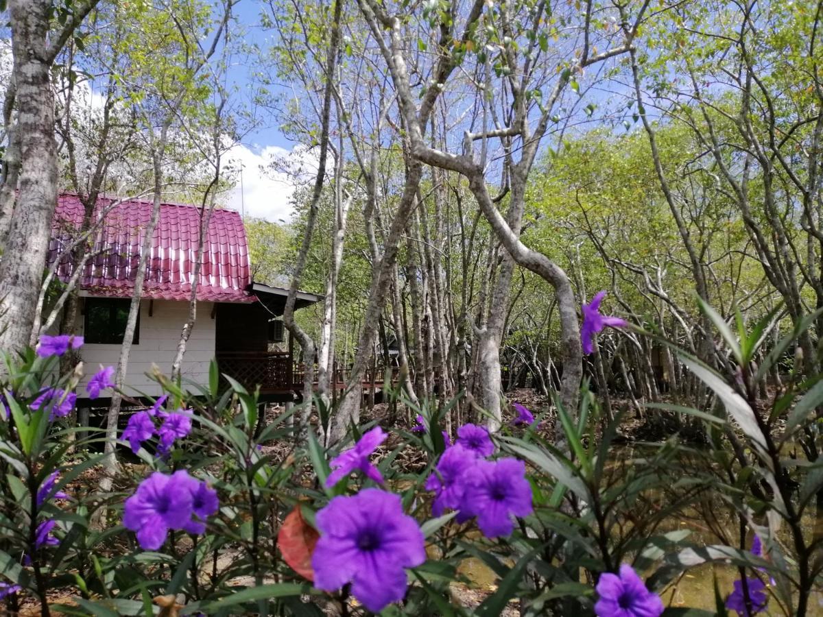 Api-Api Eco Chalet بانتايْ كوك المظهر الخارجي الصورة
